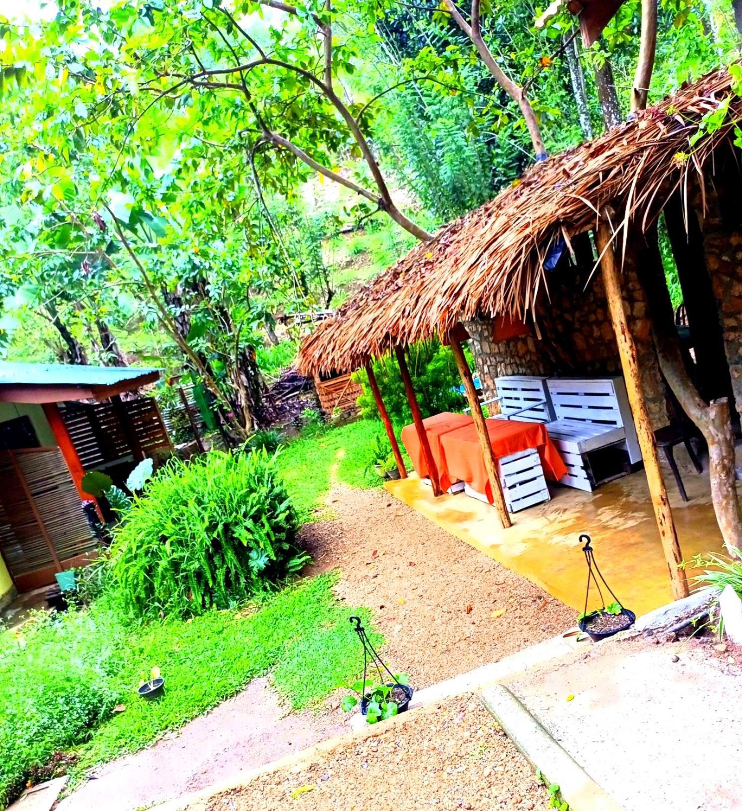 Ella Foret Accommodation 외부 사진