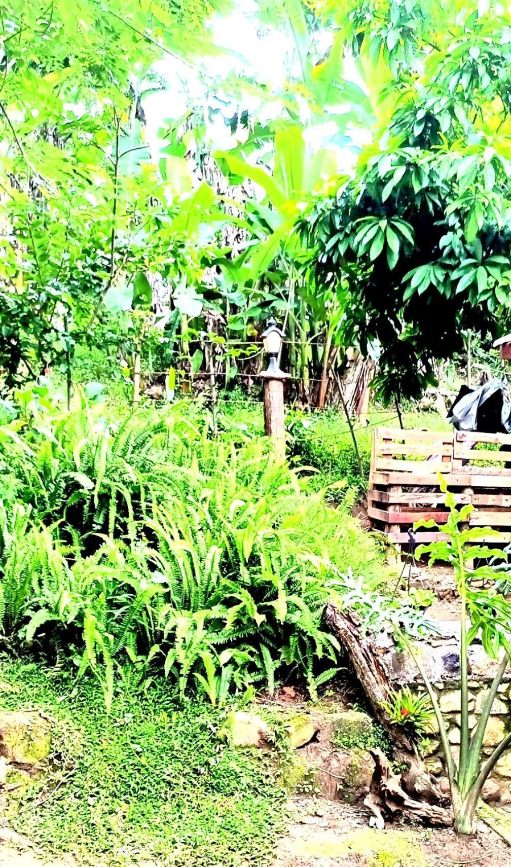Ella Foret Accommodation 외부 사진